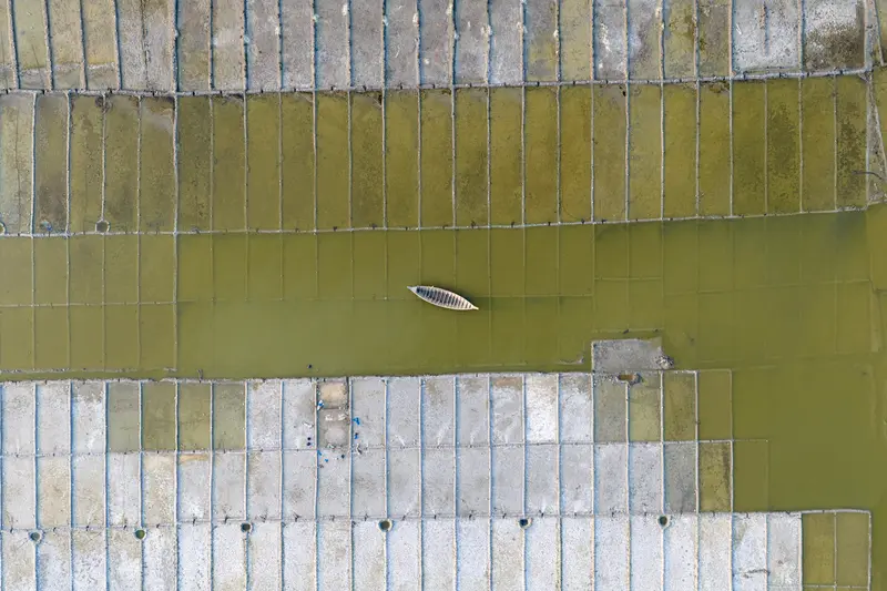 One Boat, A Thousand Fields