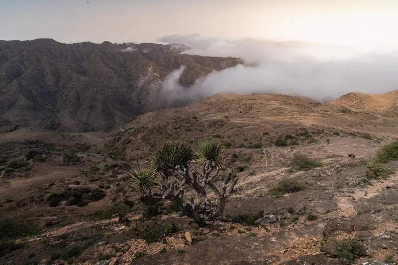 Above Mount Samhan