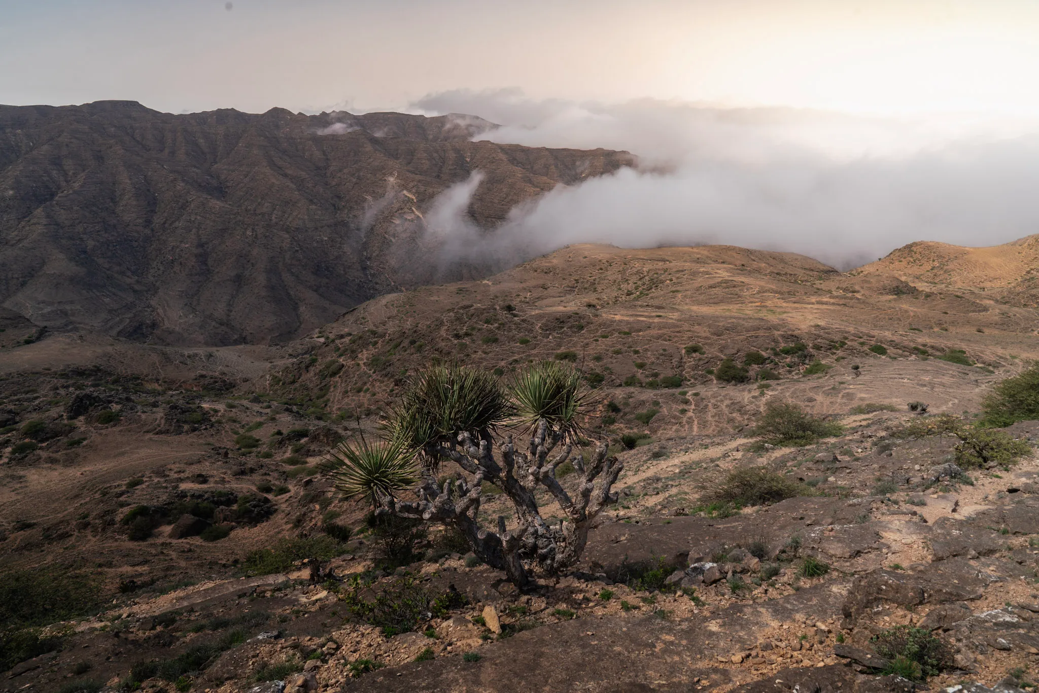Above Mount Samhan