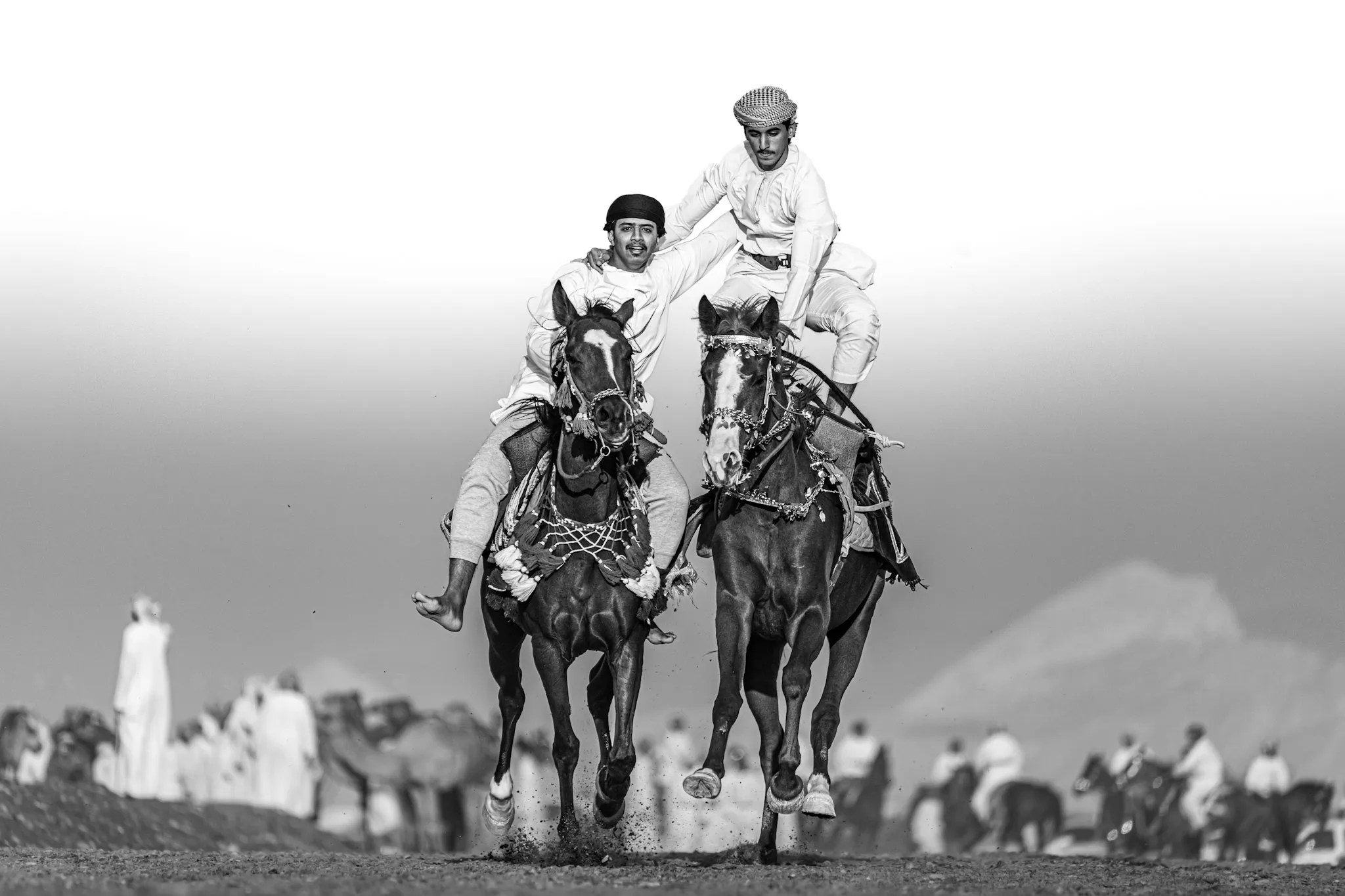 فرسان في الغبار