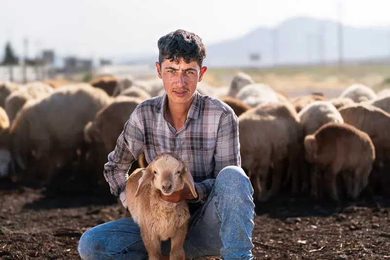 Shepherd and Lamb II