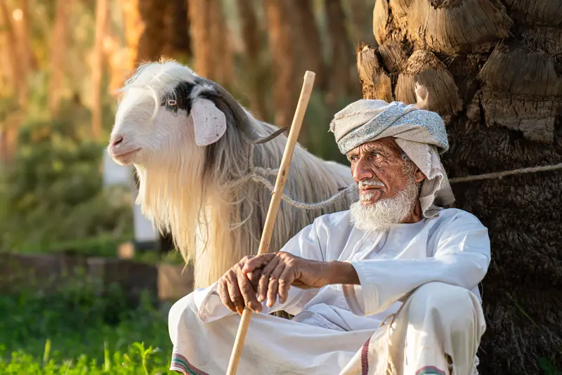 The Village Shepherd