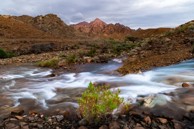 Wadi in Flow
