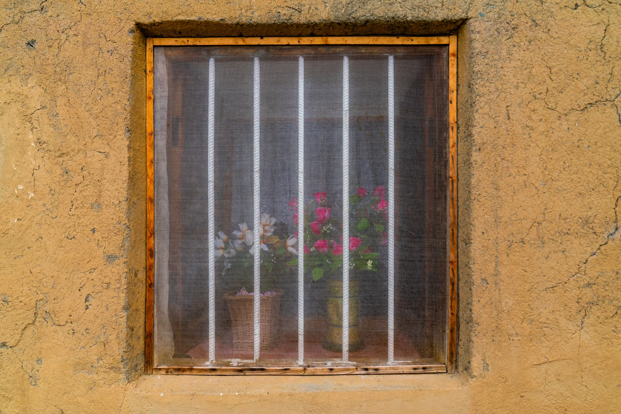 Flowers Behind the Screen