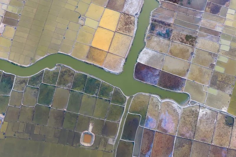 The Patchwork Delta
