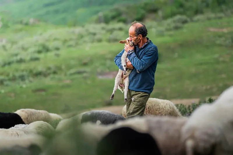Carrying the Newborn III