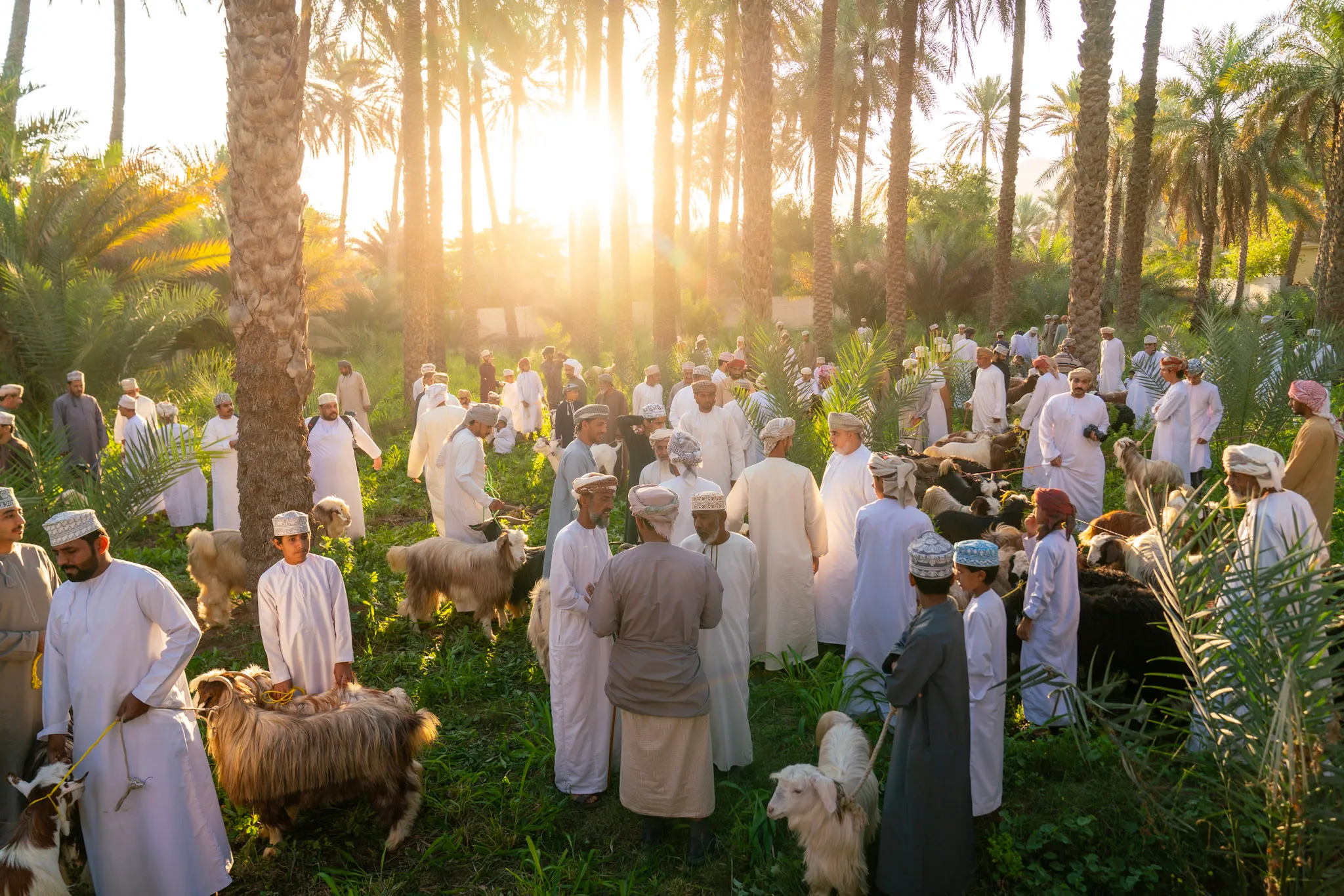 سوق الهبطة
