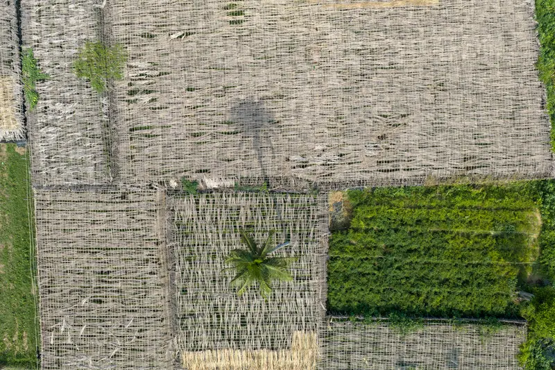 Woven Ground