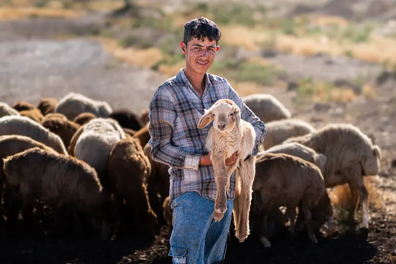 Shepherd and Lamb