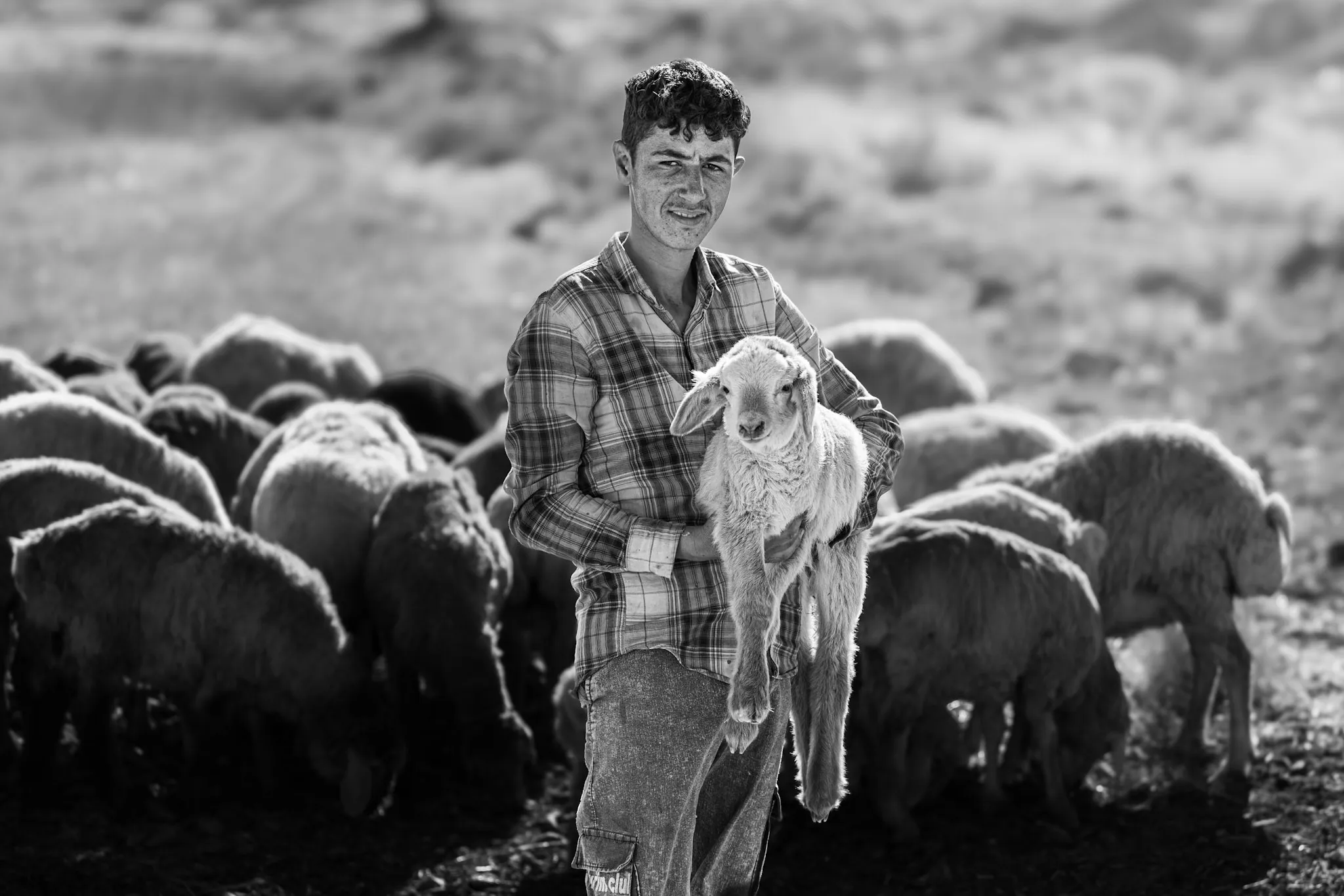 Shepherd and Lamb