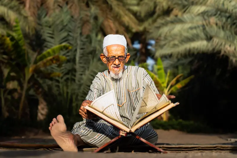 Reading in the Palm Grove