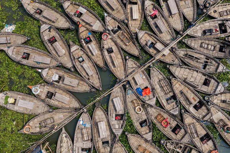 Twin Boat Flowers IV