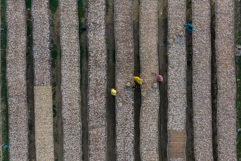 The Drying Yards
