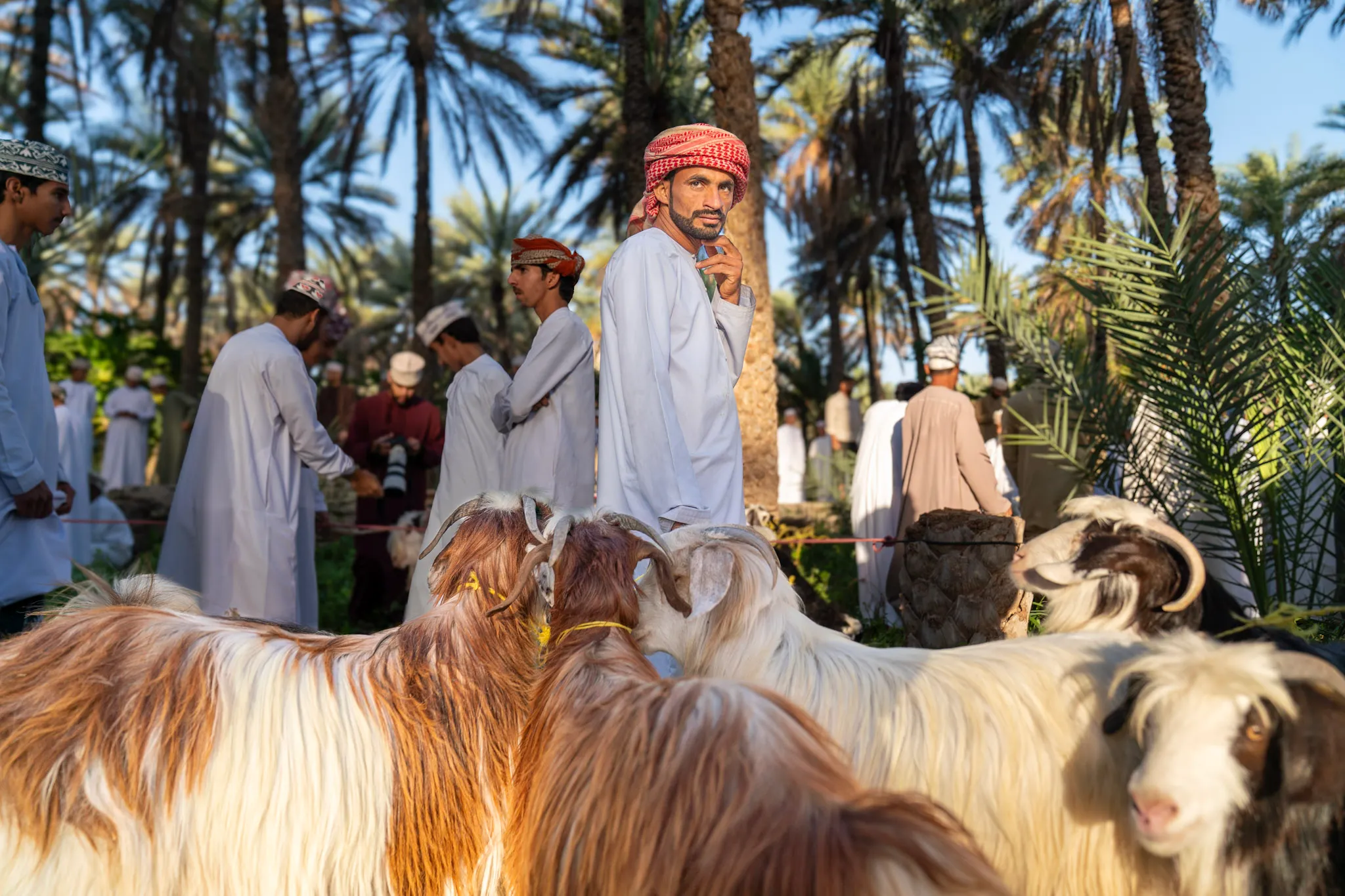 الشماغ الأحمر