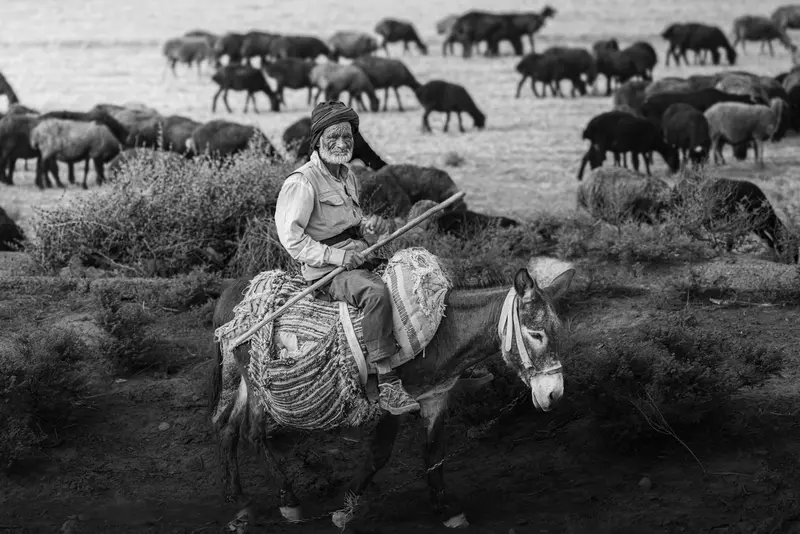 The Nomad's Gaze II