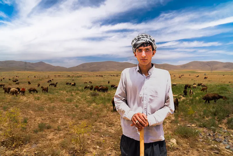 The Young Shepherd