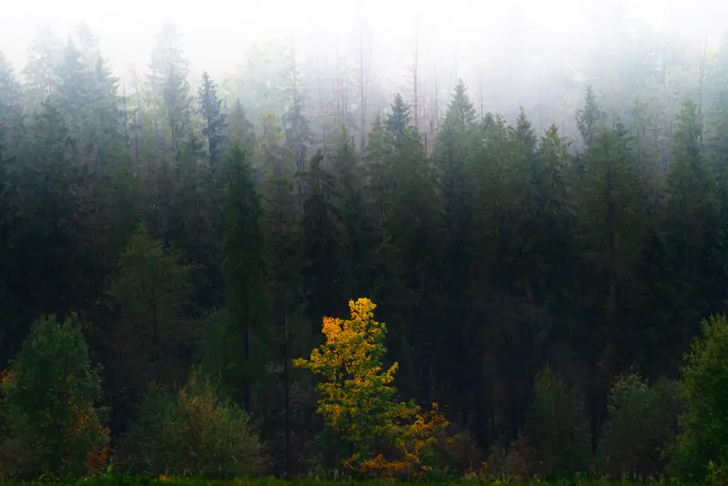 Poland