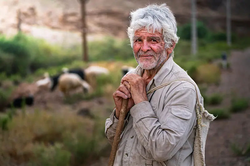 The White-Haired Shepherd
