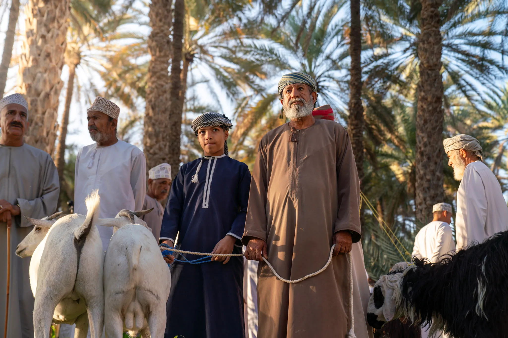 باعة ماعز الواحة